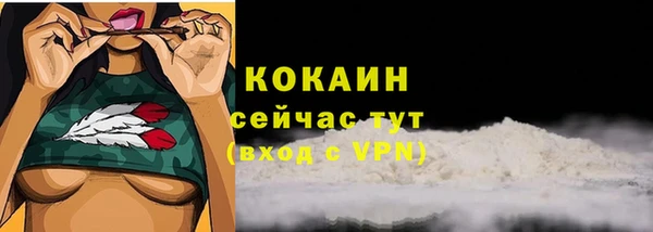 ГАЛЛЮЦИНОГЕННЫЕ ГРИБЫ Лихославль