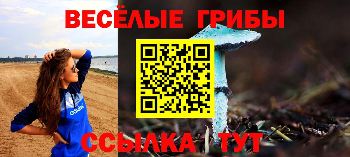 Псилоцибиновые грибы прущие грибы  Псилоцибиновые грибы Cubensis  купить  сайты  Вход с VPN  Брянск 