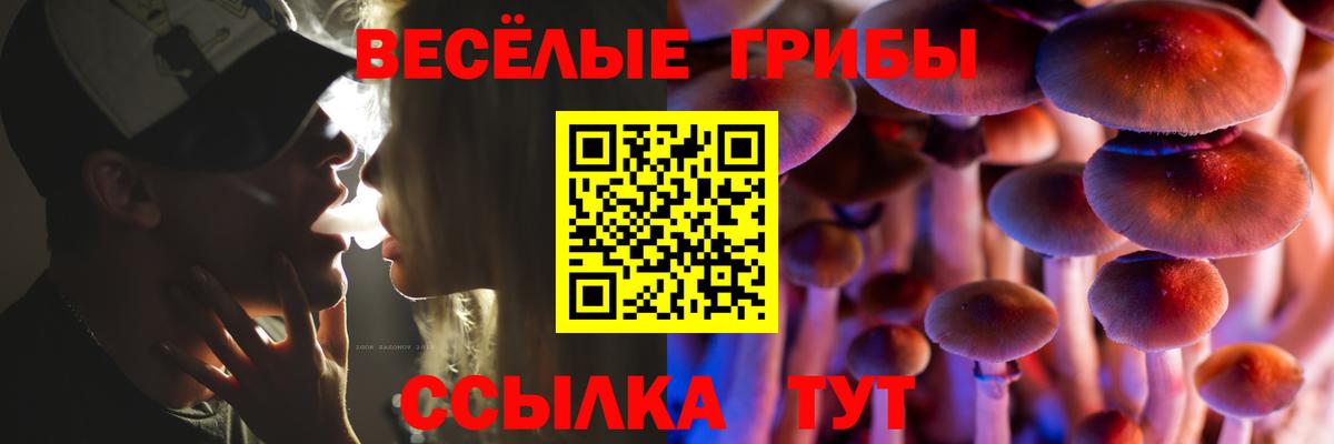 Галлюциногенные грибы мухоморы  Брянск  сколько стоит  Галлюциногенные грибы мухоморы 